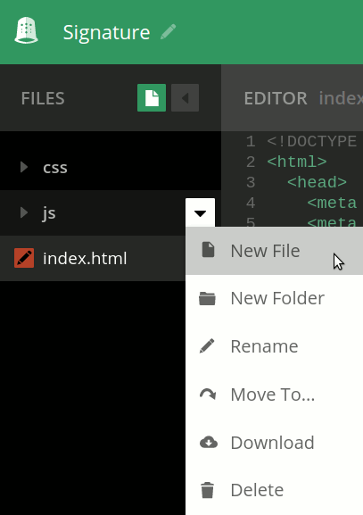 Create a new file in the js folder