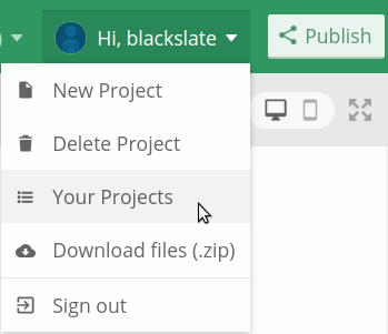 Return to the Your Projects screen